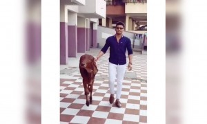 पहा गावठी रुबाब कसा असतो