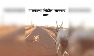प्रत्येक शेतकऱ्याचे हे दोन अनमोल रत्न..
