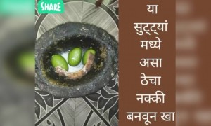 हा ठेचा नक्की बनवा..!