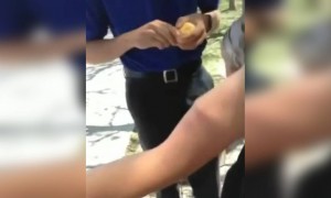 तुमच्या लक्ष्यात आहे का हा खेळ..