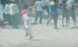 हा आनंद लाखो रुपये दिले तरी मिळणार नाही # बैलगाडा शर्यत