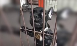 ह्याला नक्की काय बोलायचं आहे..