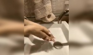 कोरोना व्हायरसची लागण होऊ नये,त्यासाठी हात स्वच्छ धुवावेत