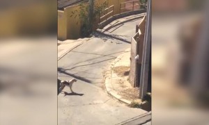 जगात अशक्य असे काहीच नाही, फक्त आपलं स्थान उच्च निश्चित करा आणि त्यासाठी जीवापाड प्रयत्न करा.