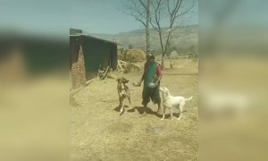 अशी आहे गावाकडची सुख ,समृद्धी ,निसर्गरम्य