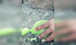 हा व्हिडीओ पाहणाऱ्याला 100% तोंडाला पाणी सुटणार.