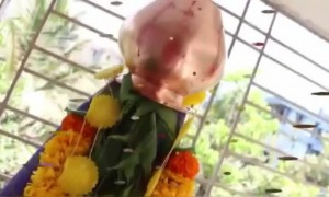 बिग बॉस मराठी फेम माधव देवचक्केच्या घरचा गुढीपाडवा; चाहत्यांना दिल्या शुभेच्छा