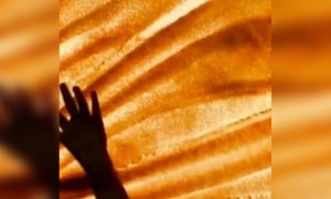 गुढीपाडव्याच्या हार्दिक शुभेच्छा.!