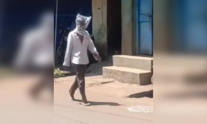 पहा नवीन मास्क