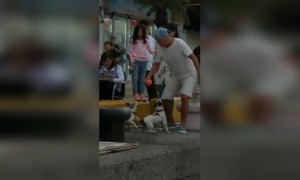 प्रत्येक खात्यात असेच असते काम करणारा वेगळा असतो पण वरिष्ठांना दाखवतो मीच केले