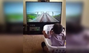 आपला आनंद कशात आहे हे फक्त आपले वडीलच समजू शकतात...