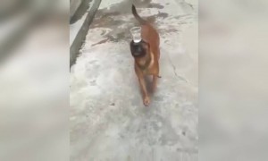 बोला आहे की नाही कमालीचा बॅलन्स ?