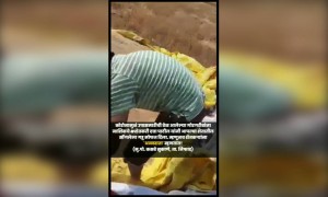 म्हणून शेतकऱ्यांना अन्नदाता म्हणतात...!