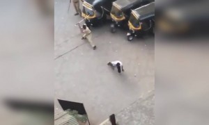 घरातचं रहा लय हाणतात