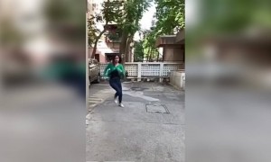 तुमचे अनुभव सांगा कुत्रं पाठी लागल्यावर तुम्ही काय केलेलं !!