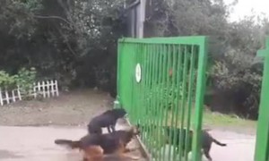 आजकाल जास्त ते भांडणं अशी होतात ....