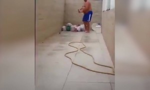 उंदराचे काय डोक चालले पहा