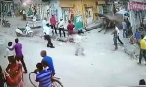 गाडी कोण चालवत होत सांगा जरा...