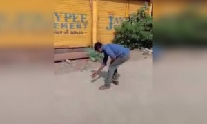 काय चालू आहे भाऊ ?