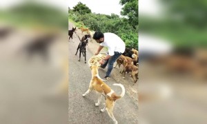 कौतुकास्पद...