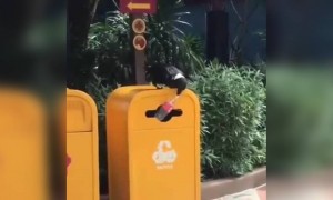 जर ह्यांना समजत मग आपल्याला का नाही ?