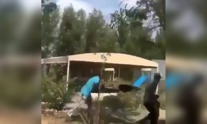 अरे भाऊ जरा सांभाळून...