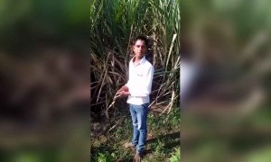 याला कोणी तरी आवरा रे...!