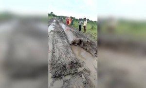 असा नाच मित्राच्या लग्नात कधी पाहिलात का..???