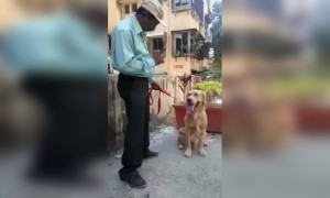 गणिताच्या सरांनी याला पण नाही सोडलं..