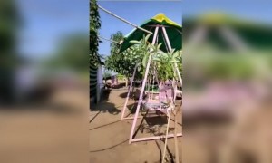 कस आहे शेतकरी राजाच घर..!!