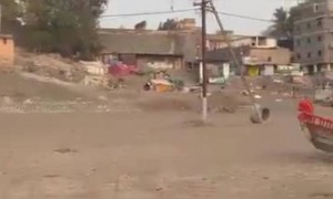 पंढरपुरातील आजचा हा व्हिडीओ.....