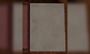 सारे भारतीय माझे बांधव आहेत...