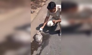 घुबड पक्षाला पाणी पाजताना पोलिस निरीक्षक ..