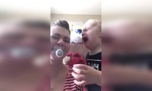 पहा दोघपण एकमेकांना रडवायचं कस थांबतात