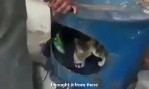 माणूस मनाने श्रीमंत असला पाहिजे.️