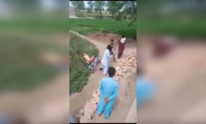 ही कुत्री का भांडत आहेत..!