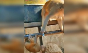 खूपच सुंदर क्षण..!