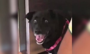 टॉम अजुन शॉक मध्ये आहे