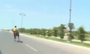 घोडेसवारी असावी तर अशी..