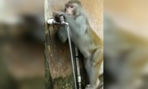 हा व्हिडिओ खूप काही सांगून जातो..!