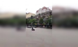 अतिशय आज्ञाधारक सुंदर पक्षी...!!!