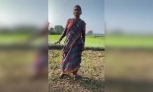 लय भारी आजी.