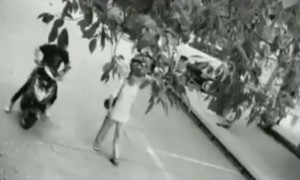 शेरास सव्वाशेर मिळतोच..!!