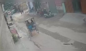 माई लेकी ने केलेले धाडस कौतुकास्पद आहे