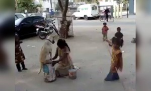 तुम्ही असा खेळ कधी पाहिला नसेल !!