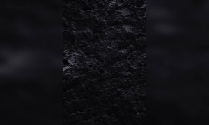 जीवनात खूपकाही बघितलं, फक्त हेच बघायच बाकी राहीलं होत..