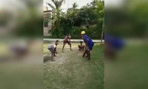 इतका अफलातून कॅच तुम्ही कधीच पाहिला नसेल..