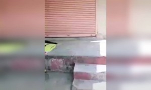 पाणी लईच गार आहे रे.. !