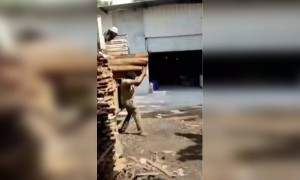 आपल्यासाठी रक्ताचं पाणी फक्त वडीलच करतात..