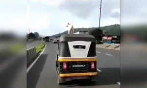 चला, आज काही तरी तुफानी करूया...